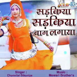 Sadkiya Sadkiya Baagh Lagayo image