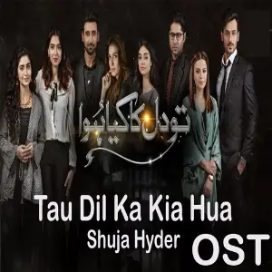 Tau Dil Ka Kia Hua (From Tau Dil Ka Kia Hua) image