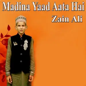 Aadat Zain Ali