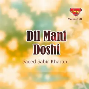 Dil Mani Doshi, Vol. 20 image