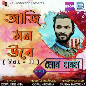Aji Mon Ure image