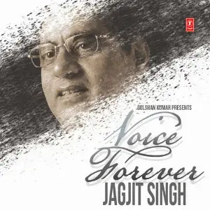 Voice Forever Various Artists