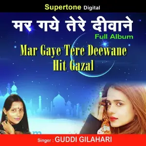 Mar Gaye Tere Deewane Salma