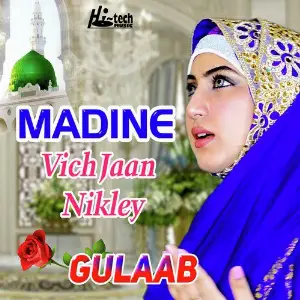 Madine Vich Jaan Nikley image