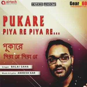 Pukare Piya Re Piya Re image