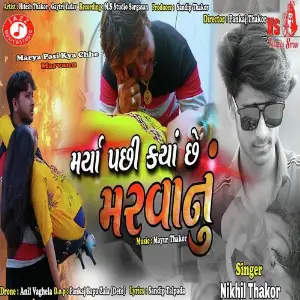 Marya Pasi Kya Chhe Marvanu image