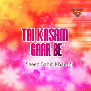 Tai Kasam Gaar Be image