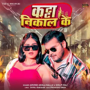 Katta Nikal Ke image