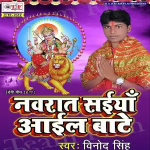 Navrat Saiya Aail Baate image