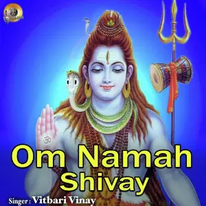 Om Namah Shivay image