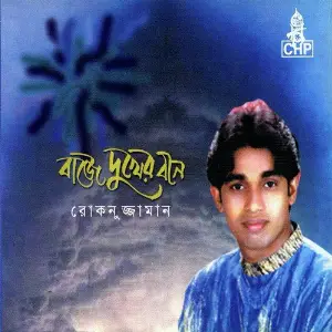 Baje Dukher Bin image