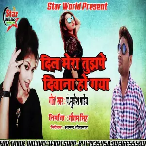 Dil Mera Tujhpe Deewana (Dil Mera Tujhpe Deewana) image