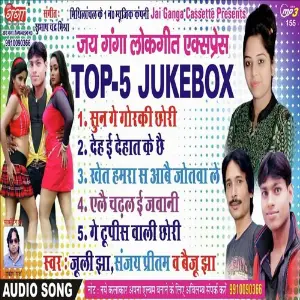 Superhit Maithili Lokgeet Part 3 image