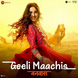 Geeli Maachis (From Vanvaas) image