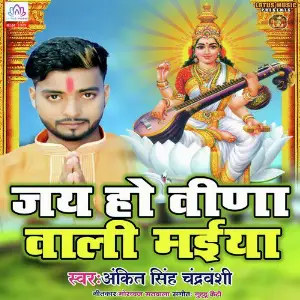 Jai Ho Vina Wali Maiya image