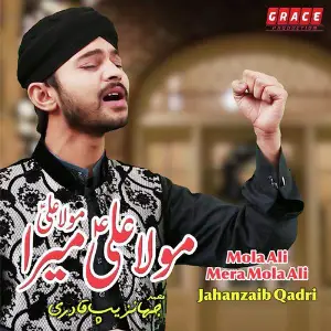 Mola Ali Mera Mola Ali image