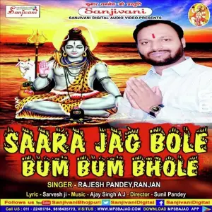 Sara Jag Bole Bum Bum Bhole image