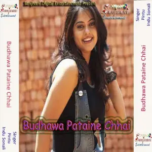 Budhawa Pataine Chhai image