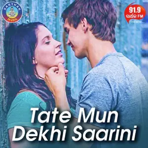 Tate Mun Dekhi Saarini image