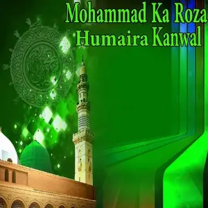 Mohammad Ka Roza image