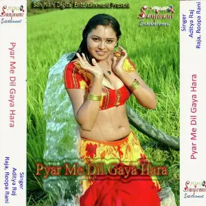 Pyar Me Dil Gaya Hara image