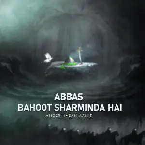 Abbas Bahoot Sharminda Hai image