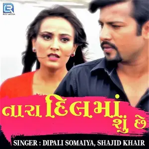 Tara Dilma Su Chhe image