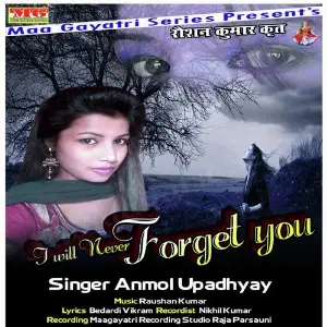I Will Never Forget You image