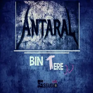 Bin Tere image