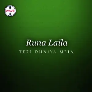 Teri Duniya Mein image