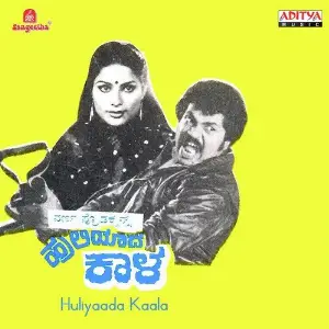 Huliyaada Kaala image