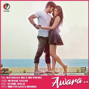 Dil Diwana Humane Sagar