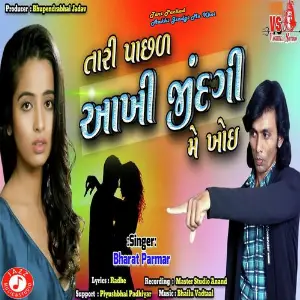 Tari Pachad Aakhi Jindgi Me Khoi image