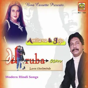 Dilruba Dot Com image