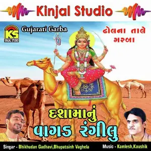 Dashamanu Vagad Rangilu image