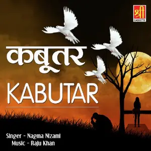 Kabutar image