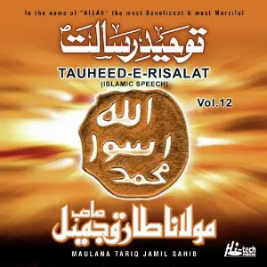 Tauheed-e-Risalat Vol. 12 - Islamic Speech image