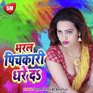 Bharal Pichkariya Dhare Da (Bhojpuri Holi Song) image