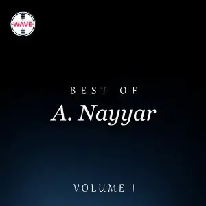 Best Of A. Nayyar, Vol. 1 image
