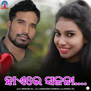 Hai Re Sajani image