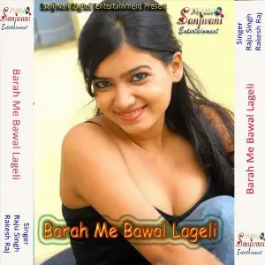 Barah Me Bawal Lageli image