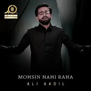 Mohsin Nahi Raha - Single image