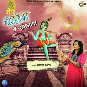 Mere Shyam Ne Sambhala - Single image