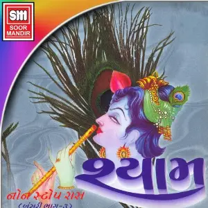 Shyam (Non Stop Raas, Vol. 3) image