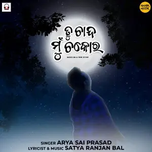 Tu Chanda Mu Chakori image