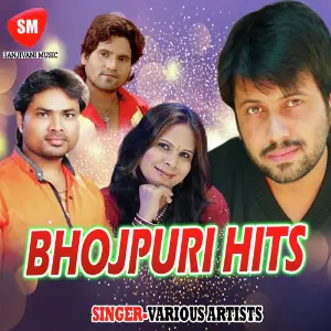 Bhojpuri Hit image