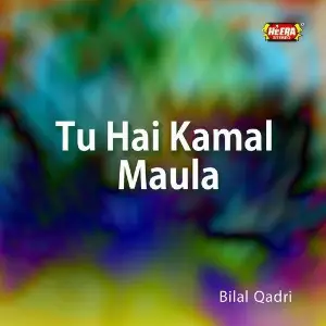 Tu Hai Kamal Maula image