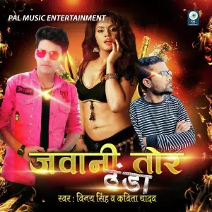 Jawani Tor Thanda image