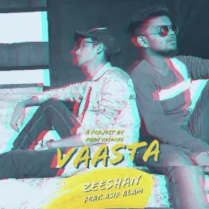 Vaasta image