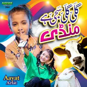 Gali Gali Mein Saji Hai Mandi image
